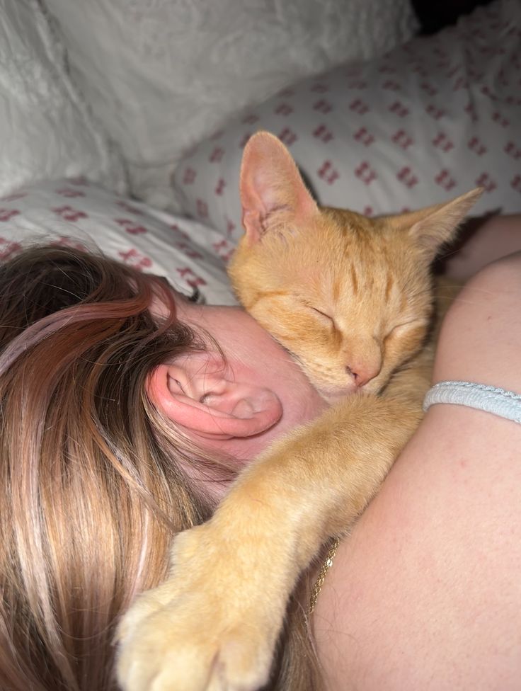files/Clingy_cat.jpg