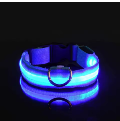 Cat Nail Trimming Guide